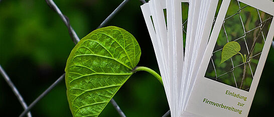 Foto: Omsalunkhe | pixabay.com